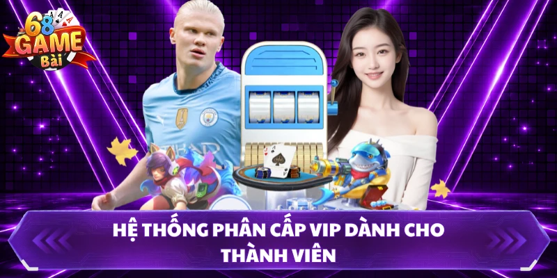 Hệ thống phân cấp VIP dành cho thành viên